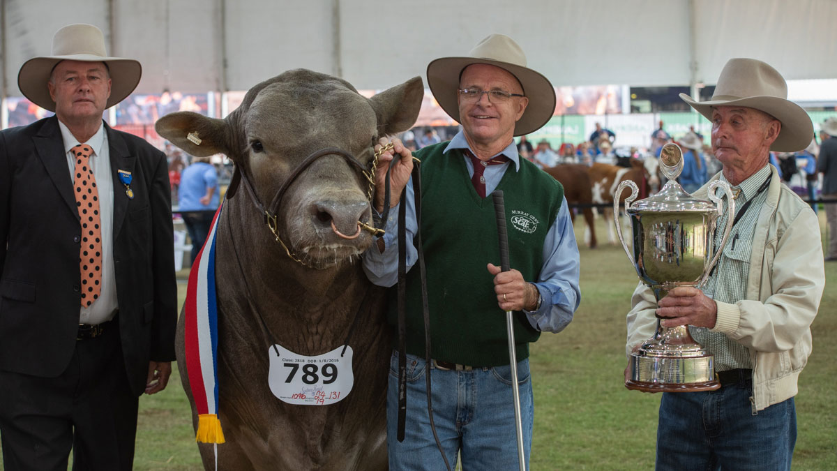 Sydney Royal Competitions