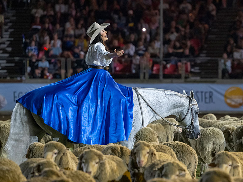 20-person suite – $6,240