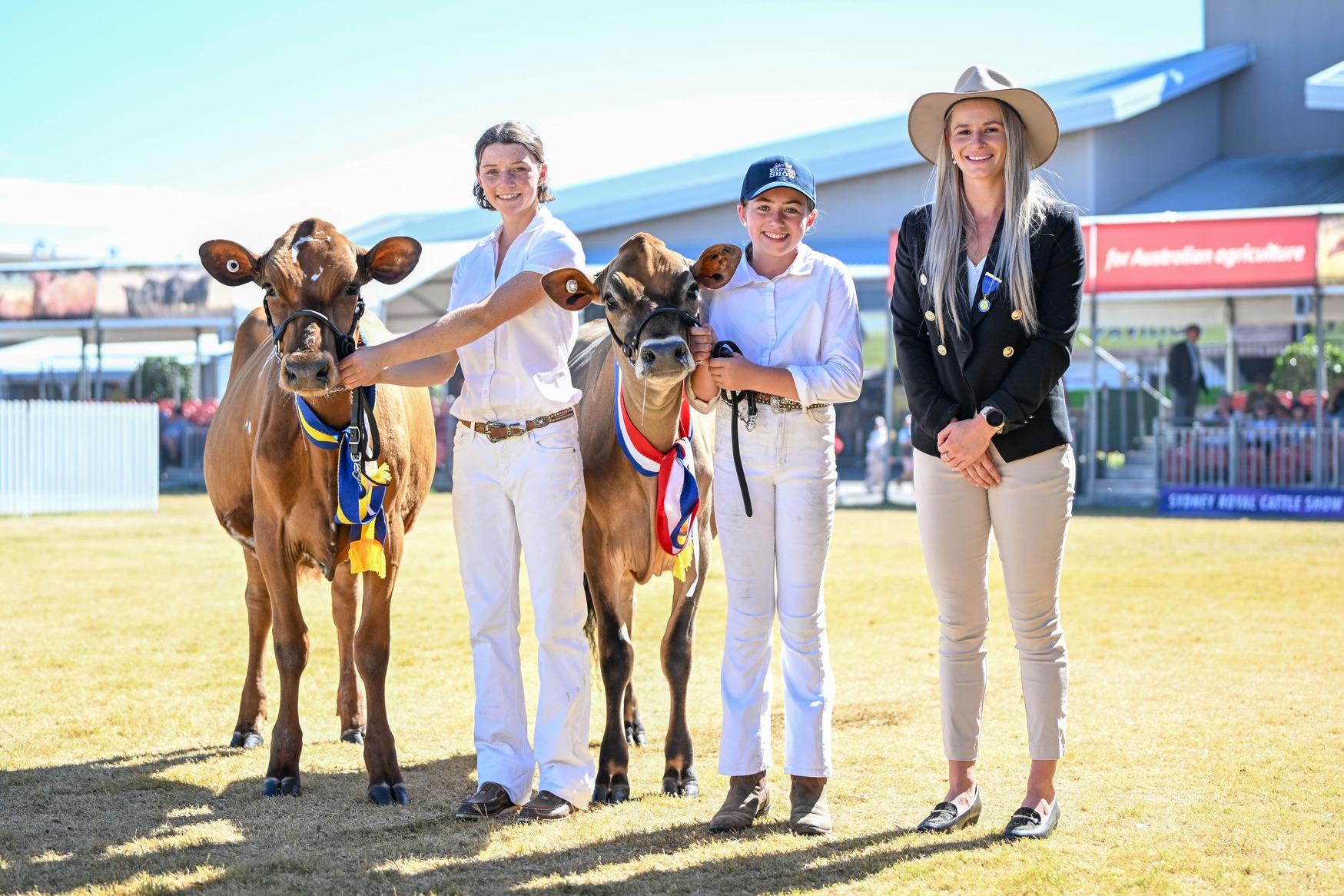 Unlimited 12-day access to the Show